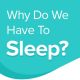 BCNBP NATIONAL DAY 2023. WHY WE SLEEP ?